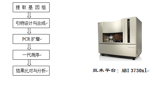 測序儀1.png